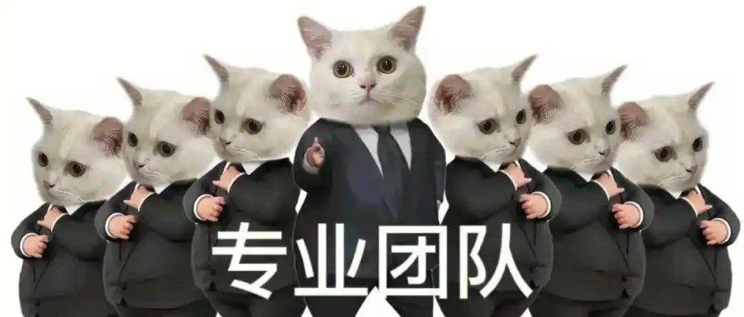 达人要价高，预算捉襟见肘？专业团队助你花小钱办大事！