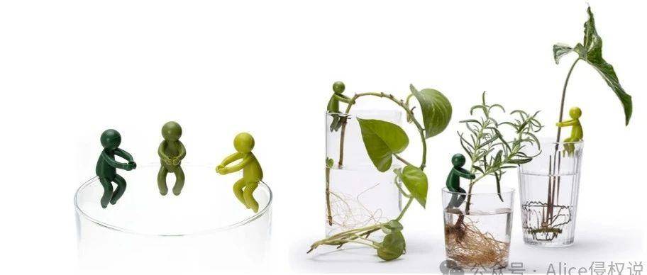说起植物育种之友，怎么能少得了Peleg design?!