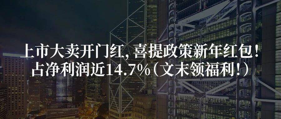上市大卖开门红，喜提政策新年红包！占净利润近14.7%（文末领福利！）