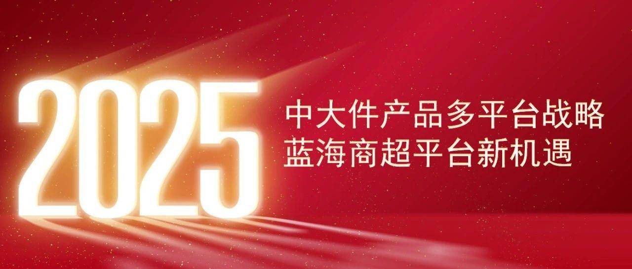 中大件卖家多平台王炸布局，解锁2025业务增长新密码！