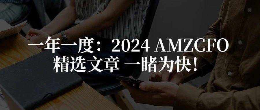 一年一度：2024 AMZCFO 精选文章，一睹为快！
