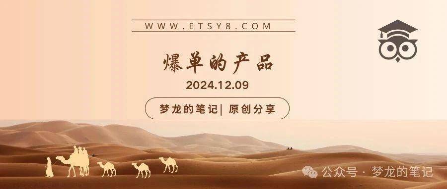 Etsy 平台正在爆单的产品（US） 2024.11