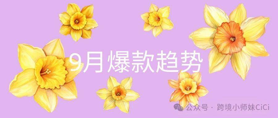 9月选品方向思考
