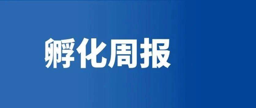 【鼓楼赛乐营亚马逊孵化班】第 2 周现场报道