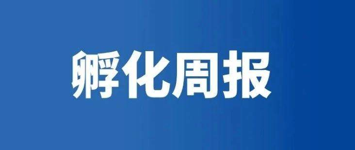 【赛乐营鼓楼区第一期亚马逊孵化班】第四周报道