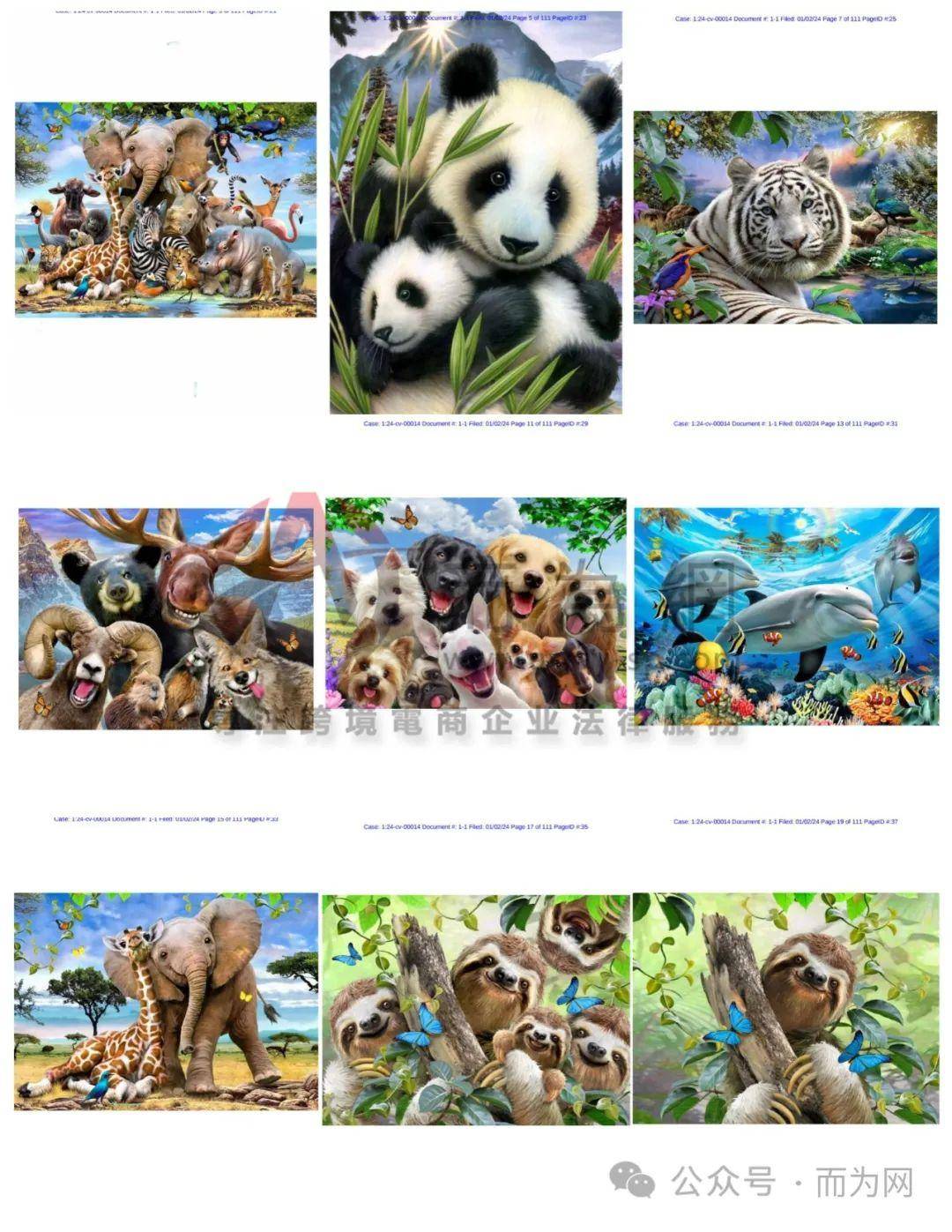 图片