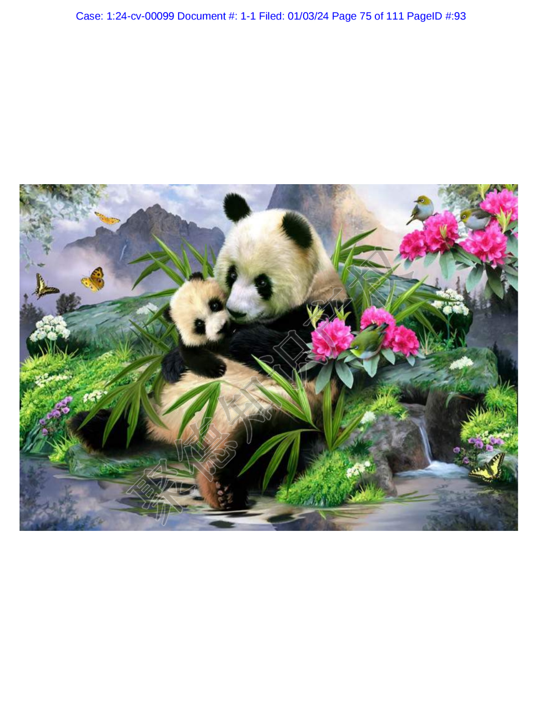 图片