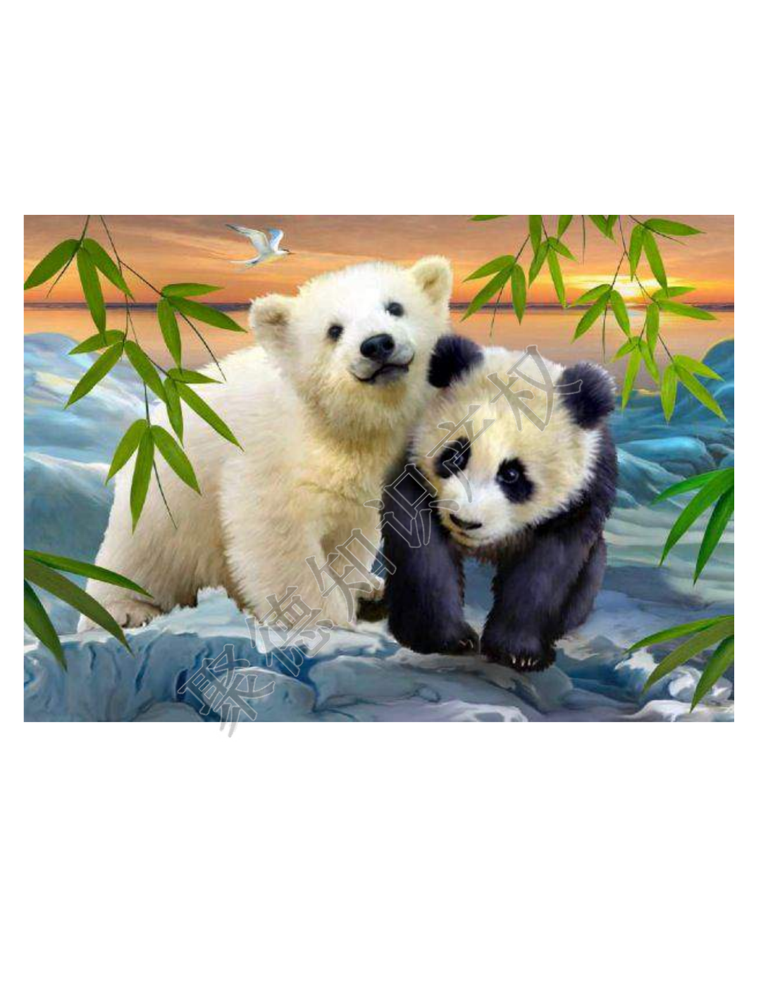 图片
