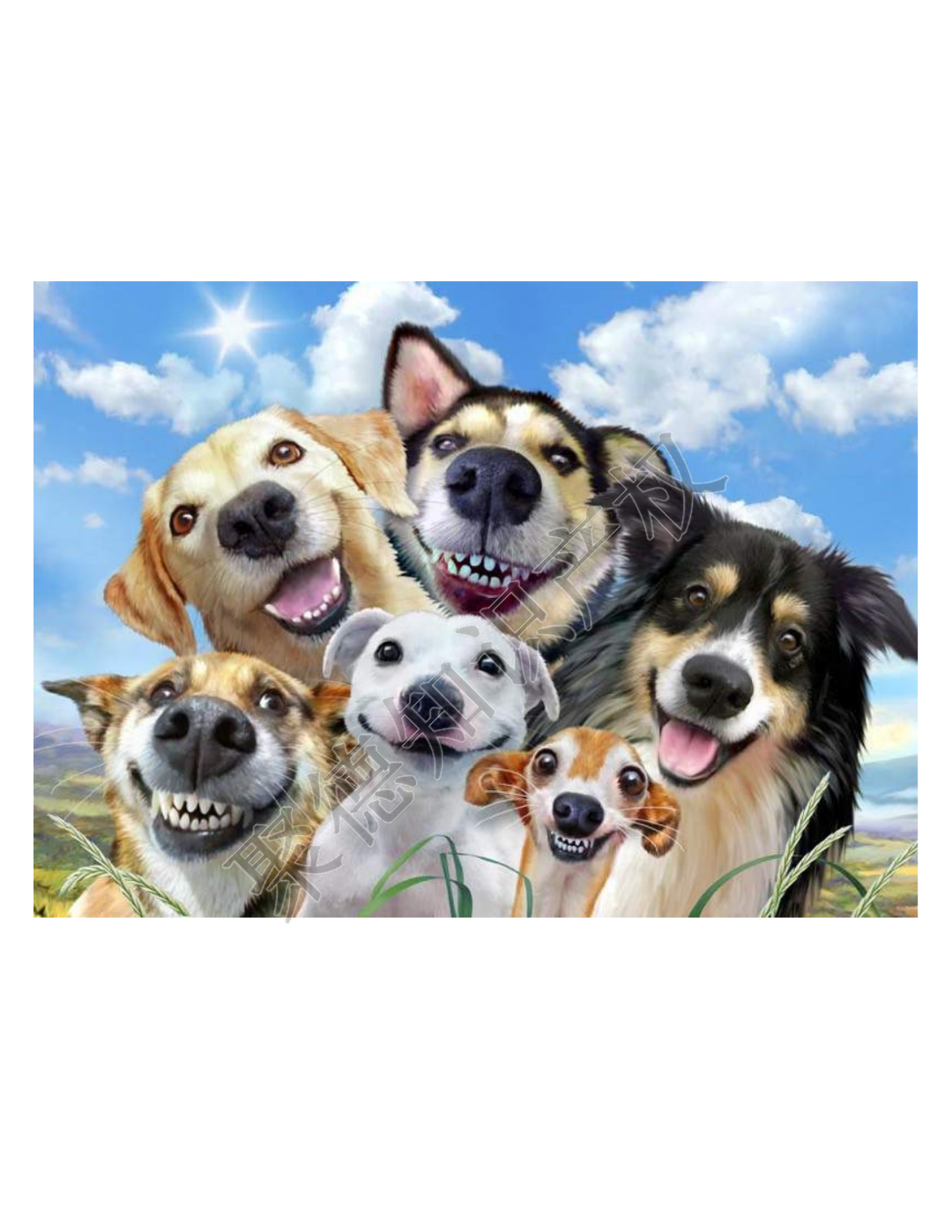 图片