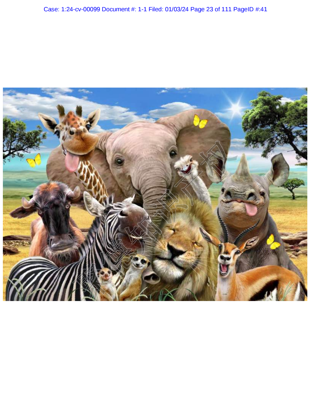 图片