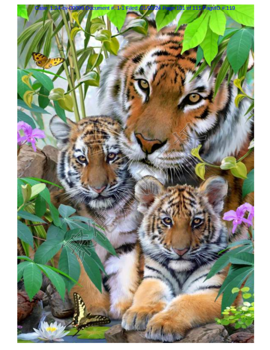 图片