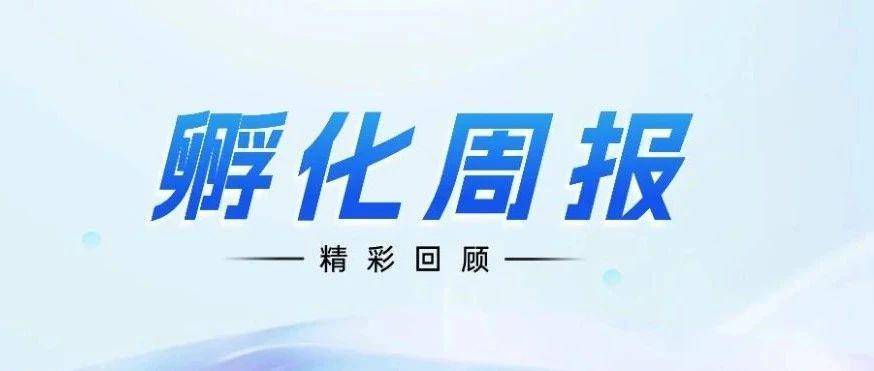 【赛乐营鼓楼区第一期亚马逊孵化班】第三周报道
