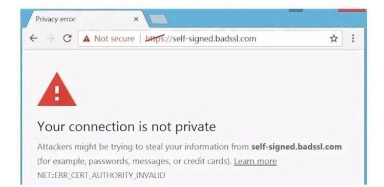 西方机构吊销了俄罗斯的HTTPS证书 网站 审查 域名 微新闻 第2张 图片