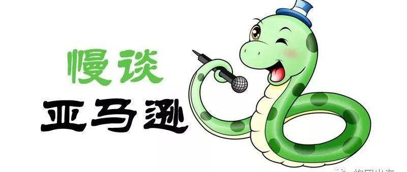 亚马逊流量结构变了，我们推广的方向是？
