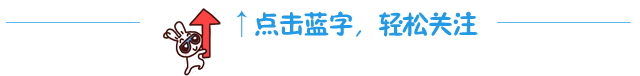 兔子红箭头引导关注