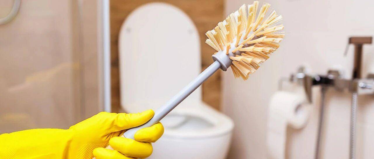 国内避雷的次抛马桶刷，竟在TikTok爆卖11.7万单