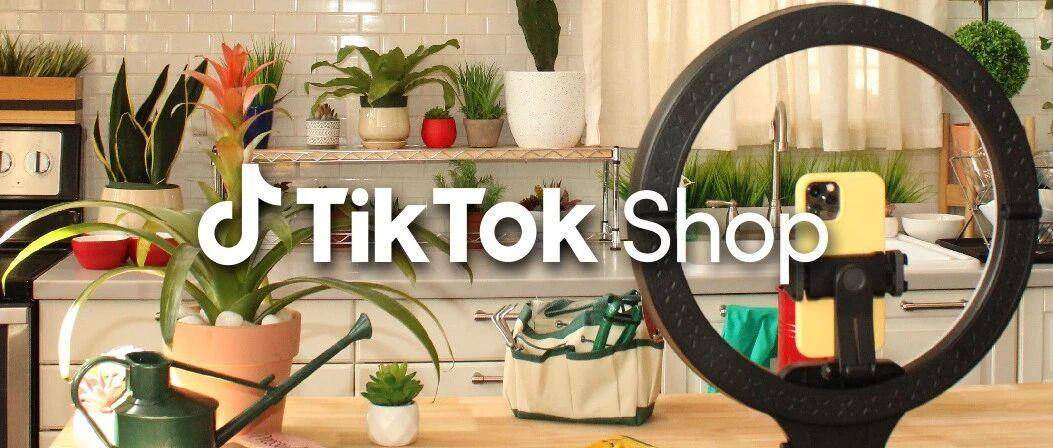 第一批入驻TikTok Shop日本站的中国卖家，已经后悔了