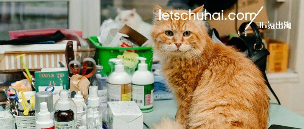 36氪出海·行业｜一年52亿、48亿片、180国！跨境大卖海外战绩有多疯？