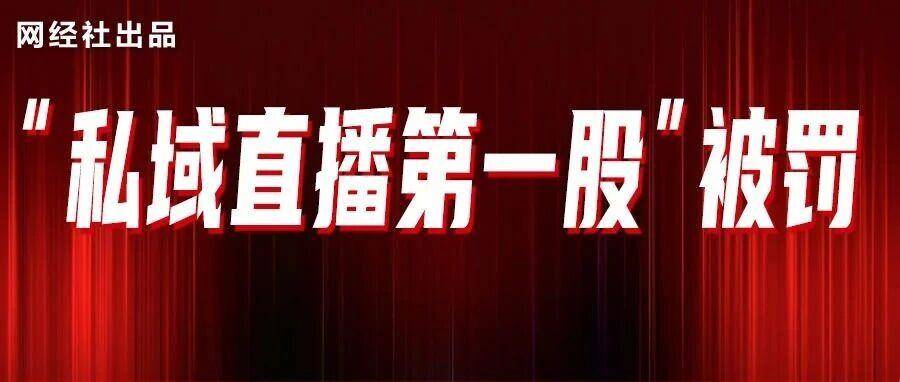 “私域直播准第一股”被罚 “小鹅通”IPO前深陷合规危机