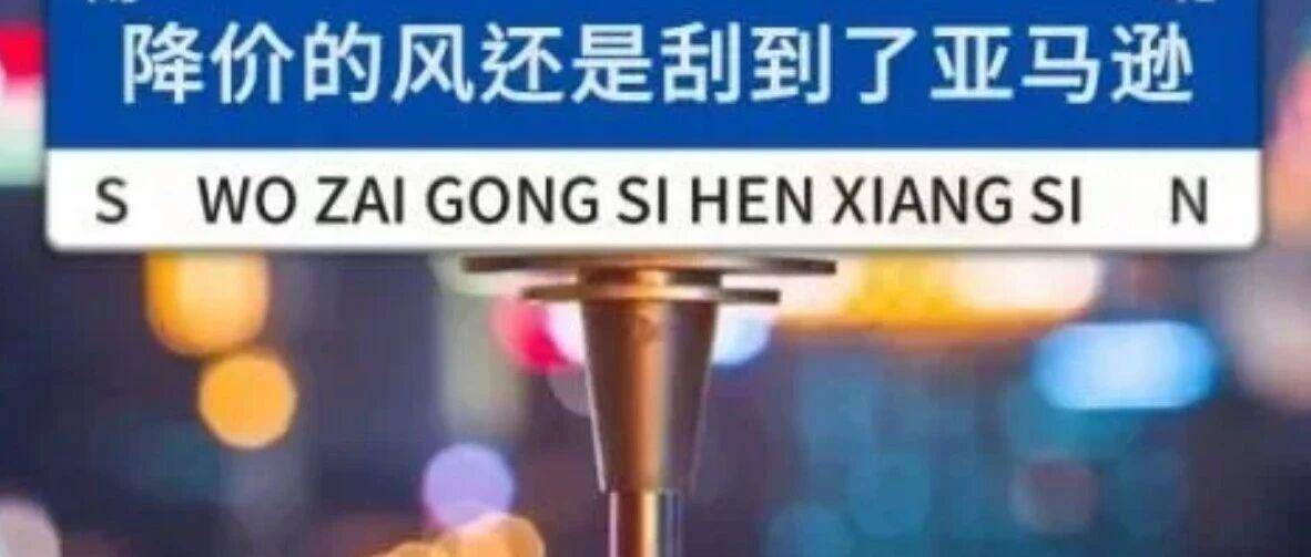 明年你还做低价产品，别说亚马逊不好做！