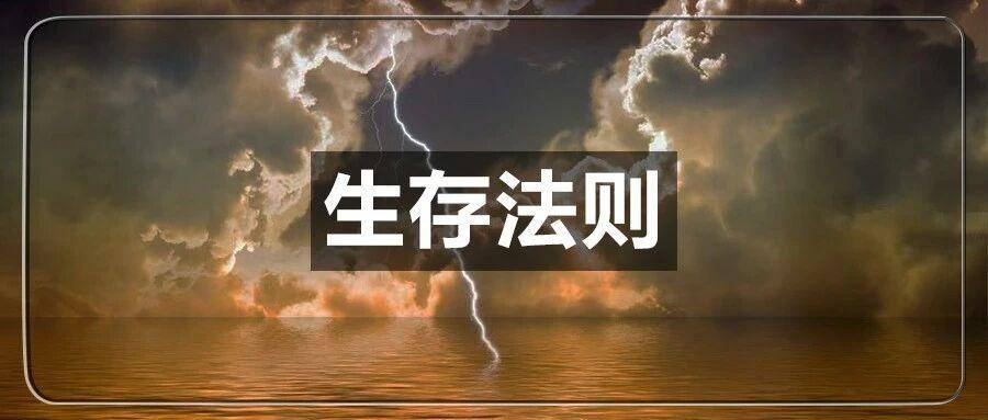 近五成VC账号被封！亚马逊最严红线是它！