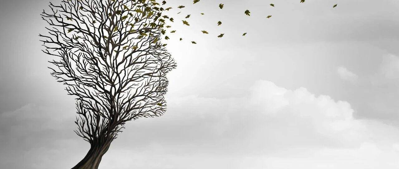 和你分享一个衰老减慢、活得长久的秘诀