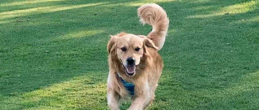 品牌连坐：这波扫号比你想的更致命！