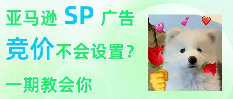 亚马逊 SP 广告竞价设置攻略：从机制到实操，新手也能快速上手